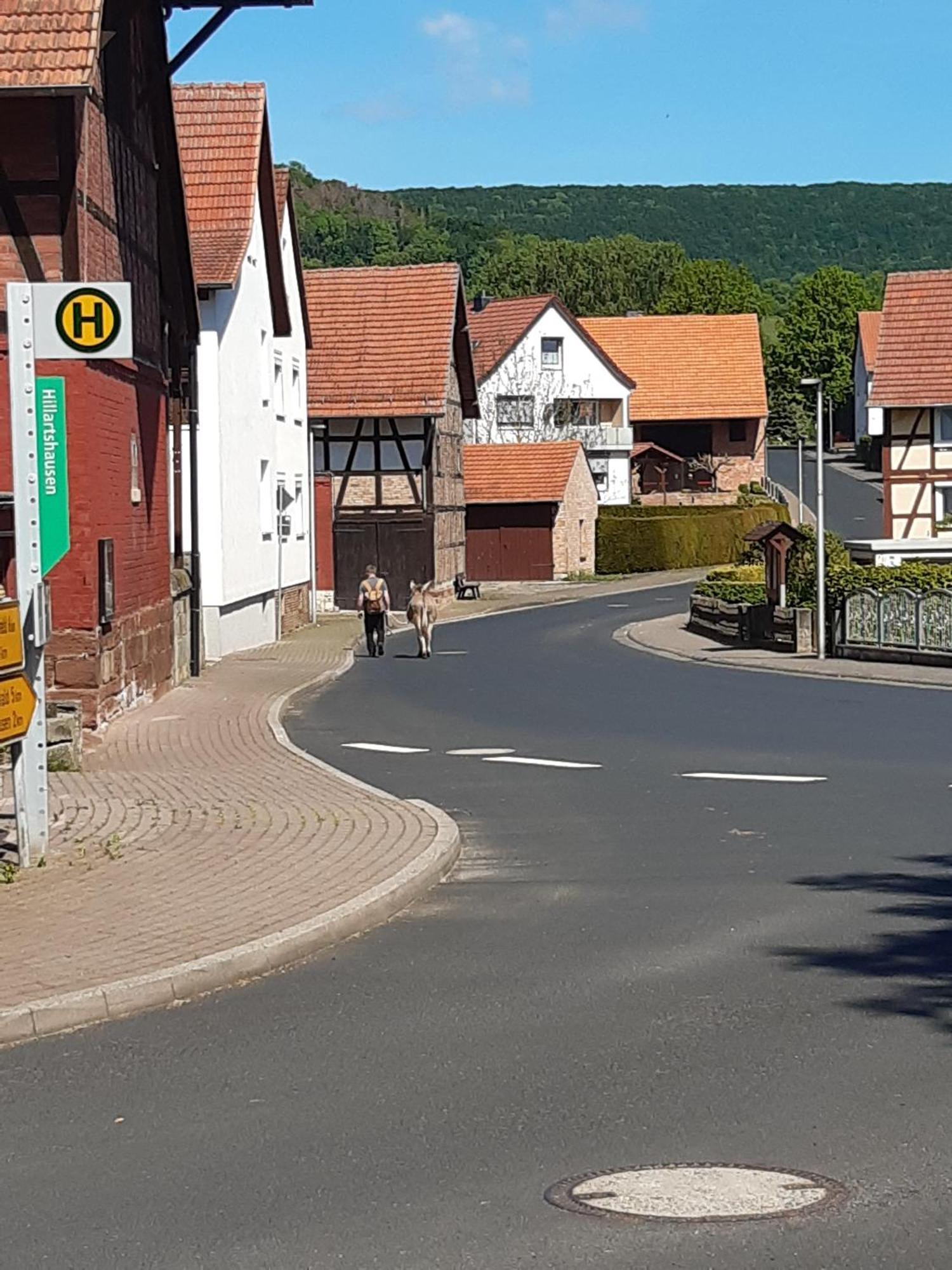 Ferienwohnung, 30 Qm Friedewald  المظهر الخارجي الصورة